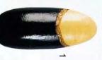 Дизайн ногтей "Черное золото Египта"